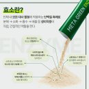 &#34;단백질 흡수? 걱정 마세요. 메타그린 효소가 도와드려요!＂ #제주설화수매장