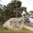 영신숲길3 이미지