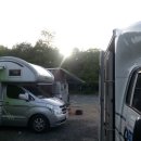 자인계정숲 이미지