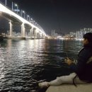 영도반도석유 네이버블로그