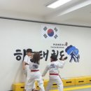 안성 하늘태권도 이미지