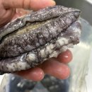 청담-124 | 내돈내산추천⭐완도 청담수산 전복 후기｜남자 손바닥만한 대전복 배송부터 신선함 대박