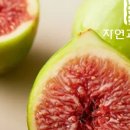 영암농수산 네이버블로그
