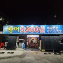 광어9900 이미지