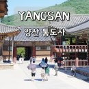 가람주유소 주변 | 양산 통도사 부산 근교 절 추천 경남 사찰 여행 나들이 가볼만한곳