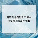 중앙로가로수 | 새벽의 블라인드, 가로수 그림자 흔들리는 아침