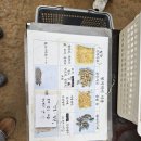 해진농장 | 파주 나눔농장 후기(엄마 아빠가 더 신남)
