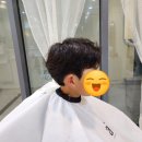 마이수헤어