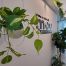 오피스행정사무소 이미지