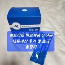 세움유통 | 락토디토 바로세움 유산균 내돈내산 후기 및 효과 총정리