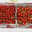 평창군농업기술센터 이미지