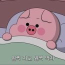 아지모리 이미지