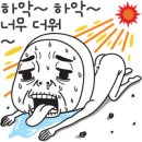 카페점보코코 이미지