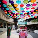 동삼(태권도) 이미지