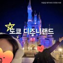 주식회사 스몰티켓 | 도쿄 디즈니랜드 오픈런 안한 찐 후기 꿀팁 dpa 티켓 놀이기구 맛집 추천