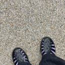 핑 노래연습장 이미지