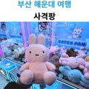 사격팡 이미지