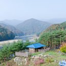 섬진강도깨비마을 | 섬진강도깨비마을 방문 후기: 자연 속의 아름다운 휴식지