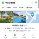 애견펜션 돌봄 이미지