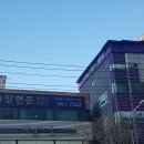 부산광역시 연제구 연산동 부산지방국세청 근처 세무사 사무소 가볼만한 곳 3 총정리