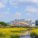 남천둔치1 이미지