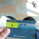 운전면허획득 여정 : 필기시험과 학원등록 (new강동운전면허학원)