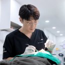 더365치과의원 이미지