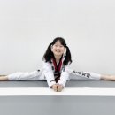 리더스태권도 이미지