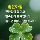 좋은하루