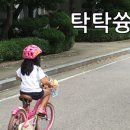 권선자전거 이미지