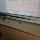 용곡체육관 이미지