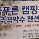 늘푸른관광농원 Daum카페