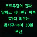 중급단계의 단어, 어법 및 회화 구사 | 포르투갈어 진짜 말하고 싶다면? 하루 3개씩 외우는 동사구·숙어 30일 루틴