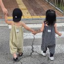 호평체육문화센터 본관 2층 | 남양주 공공 키즈카페 평내호평 도르르 21개월 후기