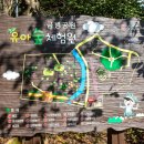 금병공원 유아숲체험원 이미지