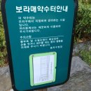 보라매약수터 이미지