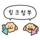 은혜헤어비스 네이버블로그