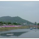 청양백세