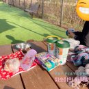 댕댕이 주전부리 이미지