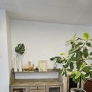 엘리스와플 이미지