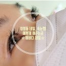 삼성동 네일아트샵 봉은사역 근처 속눈썹 연장 잘하는 곳 (에바다네일)