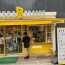 돔하우스 이미지