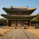 물빛동물병원 | 창경궁의 역사 / 아픔 / 물빛연화 / 벚꽃개화 에 대해서