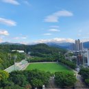 수성구민운동장 이미지