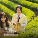 보성공공도서관(옥외) | 미혼남녀의 효율적 만남 촬영지 호텔 캠핑장 성당 도서관