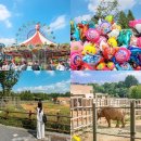 드림랜드 이미지