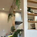 유렌트카 | [미야코지마 숙소 추천] 에어비앤비 미야코지마 5-6인 가족 숙소 후기,(+ 렌트카)