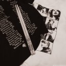 서울주 최신영화감상회 2월 <보통의가족> | The Eras Tour in Tokyo! (테일러 스위프트, 디 에라스 투어 후기)