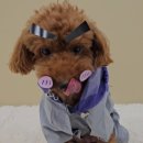 털로덮인친구들 수원시청역점 이미지