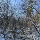 시골집 | 🔥 관악산 등산 때려치고 맛집 간 썰, 서울대입구 쌈밥 맛집 시골집 후기